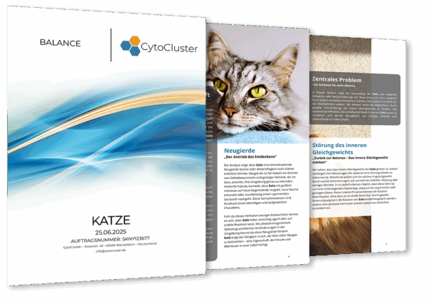 Speichelanalyse Katze – ganzheitliches Analyse-Kit für Katzen