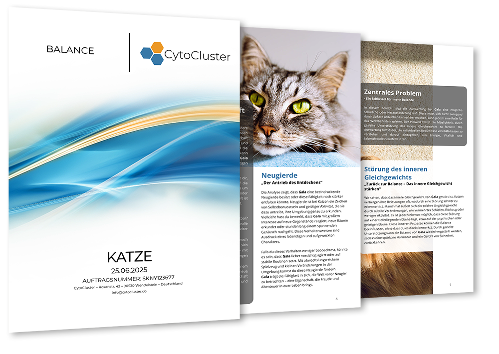 Speichelanalyse Katze – ganzheitliches Analyse-Kit für Katzen