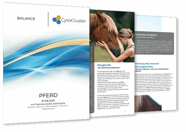 Speichelanalyse Pferde – ganzheitliches Analyse-Kit für Pferde